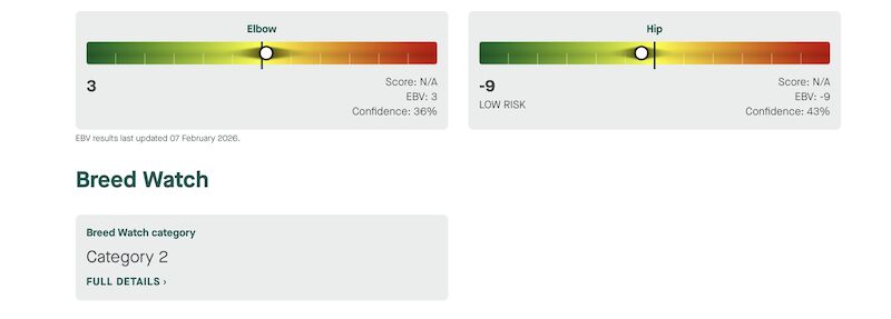 Beautiful girl and boy KC reg ready now - Image 4 of 7