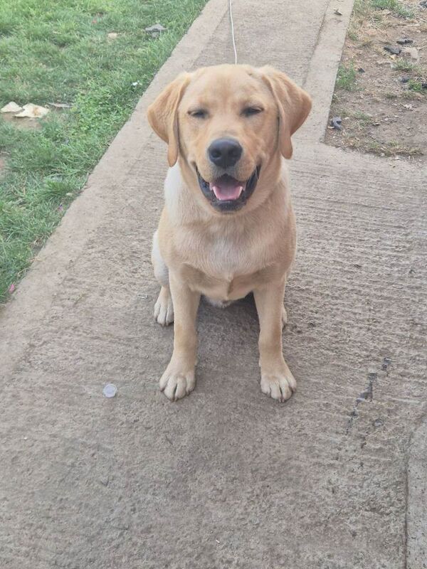 Marley