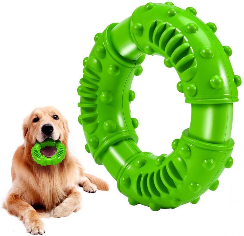 Golden Retriever puppies for sale in – a few seconds old