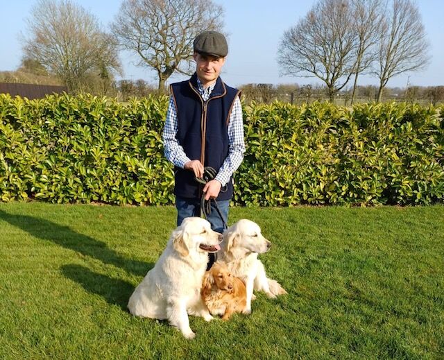 Ben Vairy - Licensed Golden Retriever Breeder on Golden Retriever Owners - Image 1